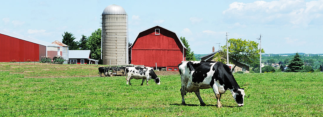 Filing a paper UCC filing?